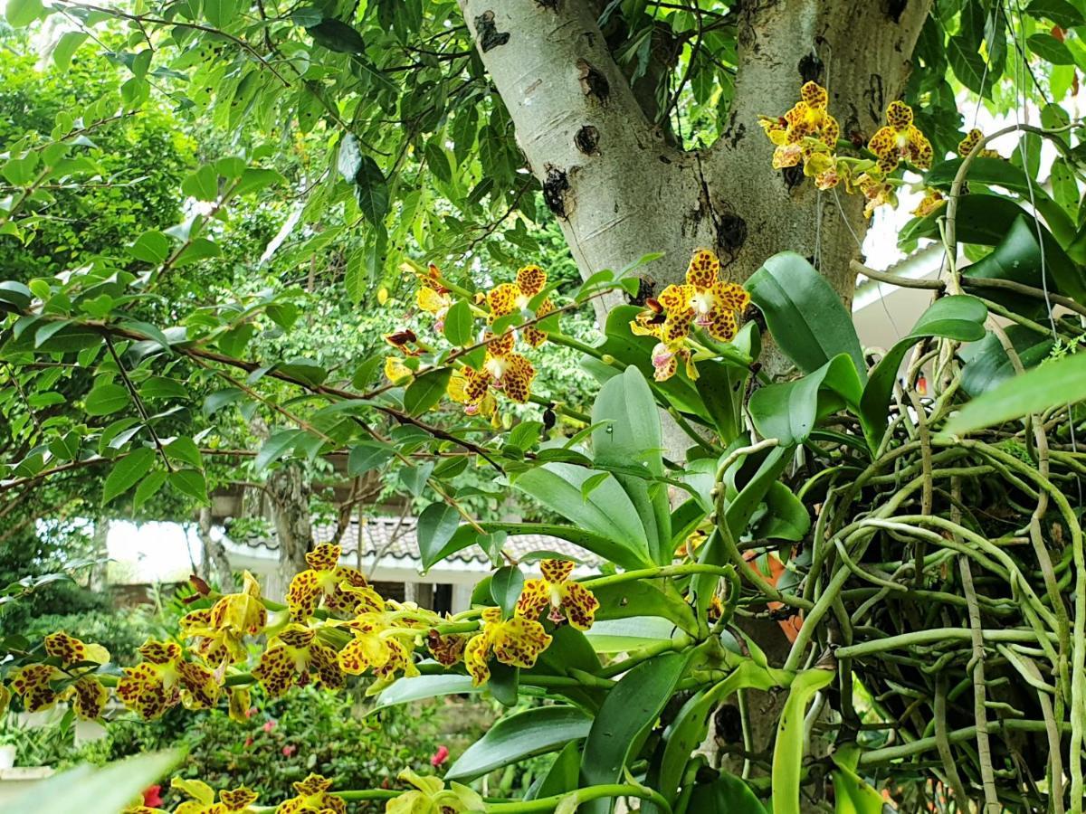 Villa Dieu Thong - Secrect Garden, View San May Va Nui Da Lat Buitenkant foto